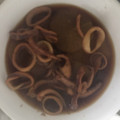 いずみはる's cooksnap of when they made 大根と冷凍イカの煮物.