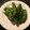 栗丸うさぎ's cooksnap of when they made ☆おつまみししとう.