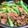 チコリママ's cooksnap of when they made 焼肉のたれで簡単肉野菜炒め(大葉のせ).