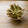 花時計咲いた's cooksnap of when they made 揚げゴボウの甘辛絡め！.