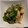 xMARILYNx's cooksnap of when they made おくらと山芋とじゃこのあっさり和え.