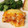 Nissy　　's cooksnap of when they made 作り置きのミートソースで！ラザニア.
