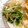 nyoeasy___'s cooksnap of when they made 豆苗ともやしの作り置きナムル.