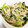 ムーヒツジ's cooksnap of when they made 小松菜とえのきのおひたし風.