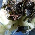 カクヨ's cooksnap of when they made 梅キュウリ.