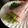 栗丸うさぎ's cooksnap of when they made ハムのきゅうり巻き.