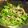 utammy's cooksnap of when they made 牛肉と水菜の柚子胡椒サラダ.