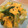 ゆーcha's cooksnap of when they made チンゲン菜とふんゎ〜り卵の中華風炒め♡.