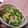 あふぉん's cooksnap of when they made 簡単 ピーマンとキャベツ炒め.