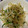 クックODBSJ9☆'s cooksnap of when they made 簡単もやしのシャキシャキ炒め.