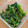 茎ちゃん's cooksnap of when they made ほうれん草の胡麻和え.