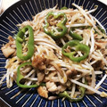 クック05SA96☆'s cooksnap of when they made もやしと豚こま肉の青椒肉絲.