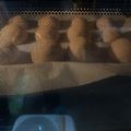 tomo4150's cooksnap of when they made こうせん入りもっちりちぎりパン.