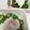 ♡まーちゃん♬'s cooksnap of when they made 温泉たまご 基本の作り方.