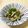 ★ひろくま★'s cooksnap of when they made 常備菜☆鳥&キュウリ.