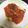 L9OUN0☆'s cooksnap of when they made なすとチーズトマトソース.