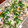 朔蔵Kitchen's cooksnap of when they made 香ばし鮭ときのこの混ぜご飯.
