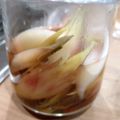 nonako's cooksnap of when they made ミョウガの甘酢漬け.