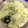 かせぃじん's cooksnap of when they made 懐かしの味♩簡単わかめごはん.