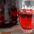 けあいちばん's cooksnap of when they made かわいい果実酒★ブルーベリー酒.