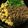 TＡあゆ's cooksnap of when they made そぼろ丼（三色丼）.