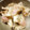 クックYBE1WN☆'s cooksnap of when they made エリンギのバターと白だしソテー.