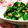 yangpa's cooksnap of when they made レンチンでラクラク★モロヘイヤオクラ納豆.