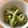 ＊１３'s cooksnap of when they made 超簡単★ゴーヤのおひたし★.