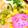 ノエル・ギャラガー's cooksnap of when they made 簡単手作りスープ♪絶品ちゃんぽん.