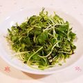 Richland☆Y's cooksnap of when they made 豆苗と胡麻のアンチエイジングサラダ！.