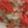 ma___111's cooksnap of when they made おかかと紅生姜★おにぎり.