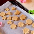 スズヌシ's cooksnap of when they made さくさく米粉の型ぬきクッキー＊.