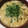 あねゴン's cooksnap of when they made 梅肉 de 豆腐入り納豆.