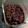 HinodeCafe's cooksnap of when they made ★簡単！粒あんとぜんざい (圧力鍋).