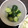 にむばすしゅたーぜん's cooksnap of when they made にんにく香る☆きゅうりの和え物☆.