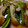 クックODBSJ9☆'s cooksnap of when they made 常備菜☆ちくわとピーマンのきんぴら.