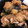 クック5F24G7☆'s cooksnap of when they made 豚こまとなすのみぞれ煮.