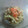 みしゅみしゅ☆岳ママ's cooksnap of when they made ごぼうと人参と胡瓜の海苔マヨサラダ。.