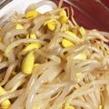 SanOlav704's cooksnap of when they made 豆もやしナムル☆お店の味！３分クッキング.