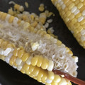 Yokchina's cooksnap of when they made とうもろこしの保存☆簡単な取り方②.