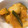 Beauvior's cooksnap of when they made 大根とかぼちゃのサブジ.