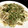 ☆sinnkuro★'s cooksnap of when they made ＊もやしとちくわの卵とじ～お好み焼き風＊.