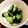 クック1FJTWX☆'s cooksnap of when they made 疲労回復にも！きゅうりとわかめの酢の物.
