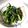 あんず7034's cooksnap of when they made 空芯菜の胡麻あえ.