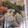 meme1227's cooksnap of when they made ☆我が家の筑前煮☆.