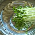 愛じゃな～い？'s cooksnap of when they made 貝割れ大根のタネが簡単に♪.