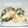 なつみﾏﾏ's cooksnap of when they made ♪豆腐あんかけうどん♪.