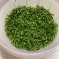 haley's cooksnap of when they made 紫蘇穂で【しその実の塩漬け】.