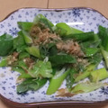きらり流れ星's cooksnap of when they made 青葱でオイマヨかつお節炒め 第3弾.