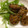 かんばんむすめ's cooksnap of when they made れんこん肉はさみのオイスターソース煮.